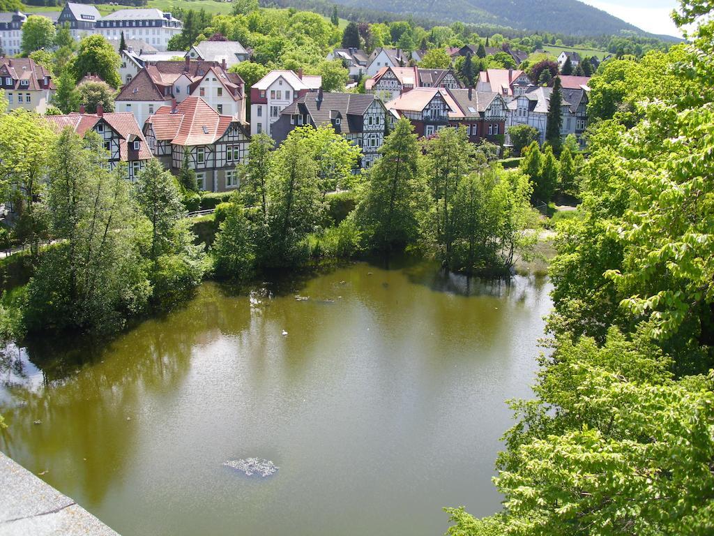 Ferienwohnungen Burg Im Zwinger Goslar Exterior foto